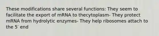 These modifications share several functions: They seem to facilitate the export of mRNA to thecytoplasm- They protect mRNA from hydrolytic enzymes- They help ribosomes attach to the 5′ end