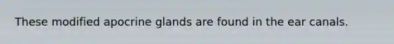 These modified apocrine glands are found in the ear canals.