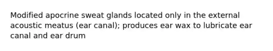 Modified apocrine sweat glands located only in the external acoustic meatus (ear canal); produces ear wax to lubricate ear canal and ear drum