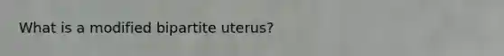 What is a modified bipartite uterus?