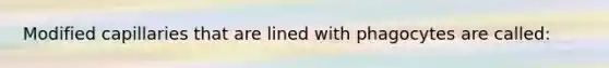 Modified capillaries that are lined with phagocytes are called: