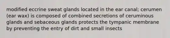 modified eccrine sweat glands located in the ear canal; cerumen (ear wax) is composed of combined secretions of ceruminous glands and sebaceous glands protects the tympanic membrane by preventing the entry of dirt and small insects
