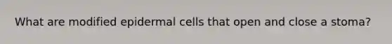 What are modified epidermal cells that open and close a stoma?