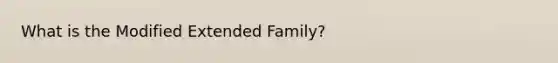 What is the Modified Extended Family?