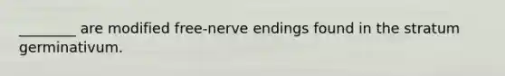 ________ are modified free-nerve endings found in the stratum germinativum.