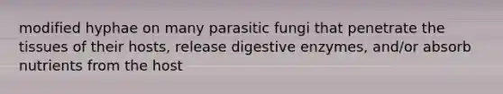 modified hyphae on many parasitic fungi that penetrate the tissues of their hosts, release digestive enzymes, and/or absorb nutrients from the host