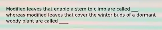 Modified leaves that enable a stem to climb are called ___, whereas modified leaves that cover the winter buds of a dormant woody plant are called ____