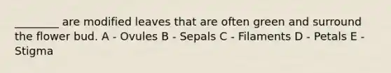 ________ are modified leaves that are often green and surround the flower bud. A - Ovules B - Sepals C - Filaments D - Petals E - Stigma