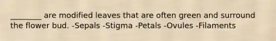 ________ are modified leaves that are often green and surround the flower bud. -Sepals -Stigma -Petals -Ovules -Filaments