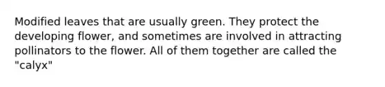 Modified leaves that are usually green. They protect the developing flower, and sometimes are involved in attracting pollinators to the flower. All of them together are called the "calyx"