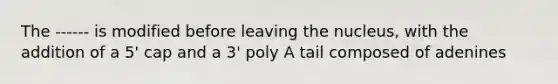 The ------ is modified before leaving the nucleus, with the addition of a 5' cap and a 3' poly A tail composed of adenines