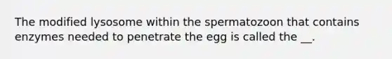 The modified lysosome within the spermatozoon that contains enzymes needed to penetrate the egg is called the __.