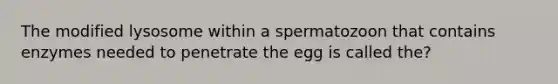 The modified lysosome within a spermatozoon that contains enzymes needed to penetrate the egg is called the?