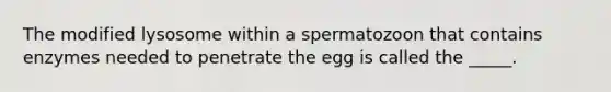 The modified lysosome within a spermatozoon that contains enzymes needed to penetrate the egg is called the _____.