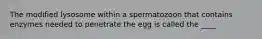 The modified lysosome within a spermatozoon that contains enzymes needed to penetrate the egg is called the ____