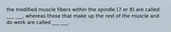 the modified muscle fibers within the spindle (7 or 8) are called ___ ___, whereas those that make up the rest of the muscle and do work are called ___ ___.