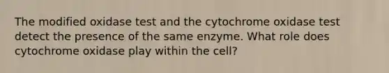 The modified oxidase test and the cytochrome oxidase test detect the presence of the same enzyme. What role does cytochrome oxidase play within the cell?