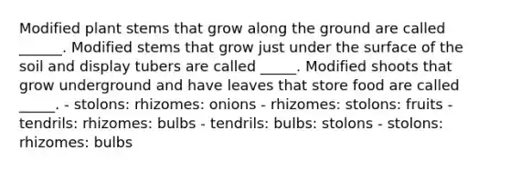 Modified plant stems that grow along the ground are called ______. Modified stems that grow just under the surface of the soil and display tubers are called _____. Modified shoots that grow underground and have leaves that store food are called _____. - stolons: rhizomes: onions - rhizomes: stolons: fruits - tendrils: rhizomes: bulbs - tendrils: bulbs: stolons - stolons: rhizomes: bulbs