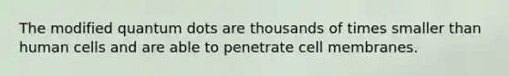 The modified quantum dots are thousands of times smaller than human cells and are able to penetrate cell membranes.