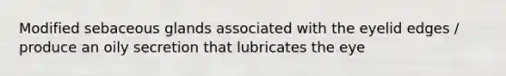 Modified sebaceous glands associated with the eyelid edges / produce an oily secretion that lubricates the eye