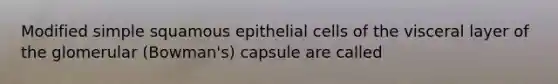 Modified simple squamous epithelial cells of the visceral layer of the glomerular (Bowman's) capsule are called