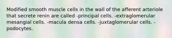 Modified smooth muscle cells in the wall of the afferent arteriole that secrete renin are called -principal cells. -extraglomerular mesangial cells. -macula densa cells. -juxtaglomerular cells. -podocytes.