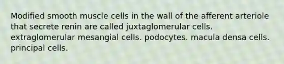 Modified smooth muscle cells in the wall of the afferent arteriole that secrete renin are called juxtaglomerular cells. extraglomerular mesangial cells. podocytes. macula densa cells. principal cells.