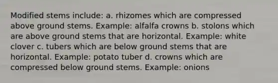 Modified stems include: a. rhizomes which are compressed above ground stems. Example: alfalfa crowns b. stolons which are above ground stems that are horizontal. Example: white clover c. tubers which are below ground stems that are horizontal. Example: potato tuber d. crowns which are compressed below ground stems. Example: onions