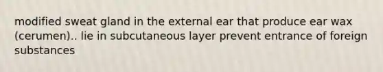 modified sweat gland in the external ear that produce ear wax (cerumen).. lie in subcutaneous layer prevent entrance of foreign substances