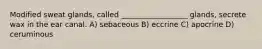 Modified sweat glands, called __________________ glands, secrete wax in the ear canal. A) sebaceous B) eccrine C) apocrine D) ceruminous