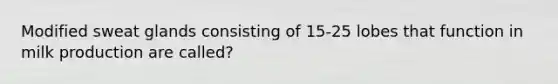 Modified sweat glands consisting of 15-25 lobes that function in milk production are called?