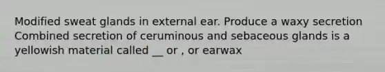 Modified sweat glands in external ear. Produce a waxy secretion Combined secretion of ceruminous and sebaceous glands is a yellowish material called __ or , or earwax