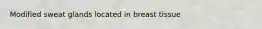 Modified sweat glands located in breast tissue