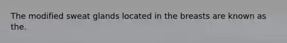 The modified sweat glands located in the breasts are known as the.