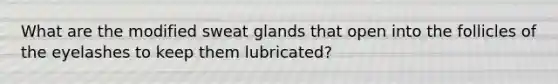 What are the modified sweat glands that open into the follicles of the eyelashes to keep them lubricated?