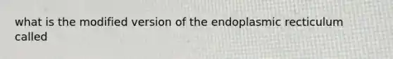 what is the modified version of the endoplasmic recticulum called