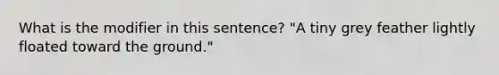 What is the modifier in this sentence? "A tiny grey feather lightly floated toward the ground."