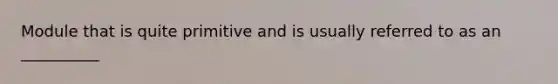 Module that is quite primitive and is usually referred to as an __________