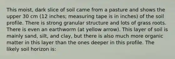 This moist, dark slice of soil came from a pasture and shows the upper 30 cm (12 inches; measuring tape is in inches) of the soil profile. There is strong granular structure and lots of grass roots. There is even an earthworm (at yellow arrow). This layer of soil is mainly sand, silt, and clay, but there is also much more organic matter in this layer than the ones deeper in this profile. The likely soil horizon is: