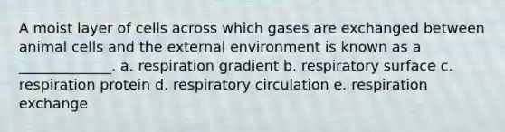 A moist layer of cells across which gases are exchanged between animal cells and <a href='https://www.questionai.com/knowledge/kpkoUX83Zl-the-external-environment' class='anchor-knowledge'>the external environment</a> is known as a _____________. a. respiration gradient b. respiratory surface c. respiration protein d. respiratory circulation e. respiration exchange