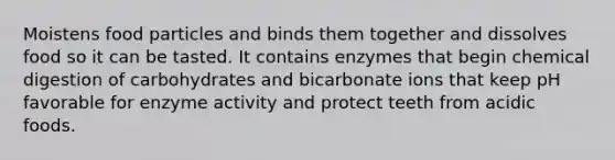 Moistens food particles and binds them together and dissolves food so it can be tasted. It contains enzymes that begin chemical digestion of carbohydrates and bicarbonate ions that keep pH favorable for enzyme activity and protect teeth from acidic foods.