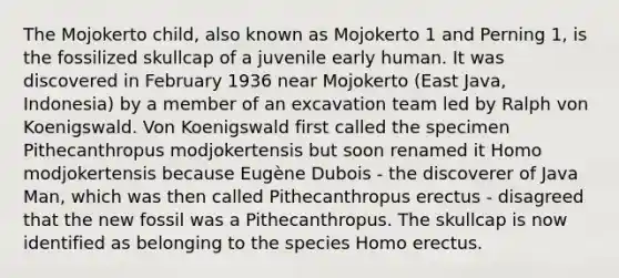 The Mojokerto child, also known as Mojokerto 1 and Perning 1, is the fossilized skullcap of a juvenile early human. It was discovered in February 1936 near Mojokerto (East Java, Indonesia) by a member of an excavation team led by Ralph von Koenigswald. Von Koenigswald first called the specimen Pithecanthropus modjokertensis but soon renamed it Homo modjokertensis because Eugène Dubois - the discoverer of Java Man, which was then called Pithecanthropus erectus - disagreed that the new fossil was a Pithecanthropus. The skullcap is now identified as belonging to the species Homo erectus.