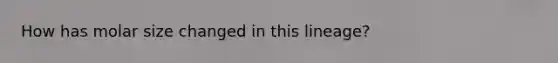 How has molar size changed in this lineage?