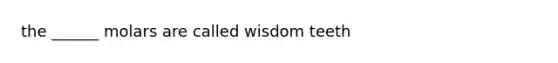 the ______ molars are called wisdom teeth