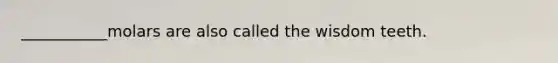 ___________molars are also called the wisdom teeth.