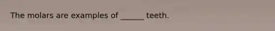 The molars are examples of ______ teeth.