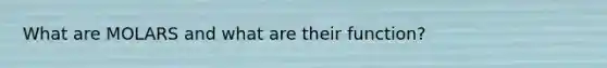 What are MOLARS and what are their function?