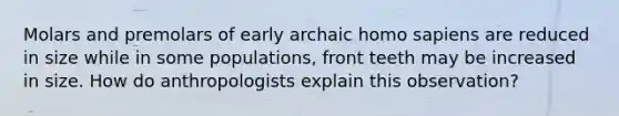 Molars and premolars of early archaic homo sapiens are reduced in size while in some populations, front teeth may be increased in size. How do anthropologists explain this observation?