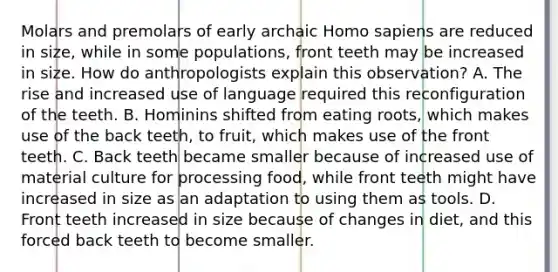 Molars and premolars of early archaic Homo sapiens are reduced in size, while in some populations, front teeth may be increased in size. How do anthropologists explain this observation? A. The rise and increased use of language required this reconfiguration of the teeth. B. Hominins shifted from eating roots, which makes use of the back teeth, to fruit, which makes use of the front teeth. C. Back teeth became smaller because of increased use of material culture for processing food, while front teeth might have increased in size as an adaptation to using them as tools. D. Front teeth increased in size because of changes in diet, and this forced back teeth to become smaller.