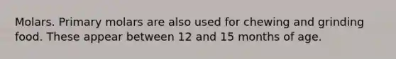 Molars. Primary molars are also used for chewing and grinding food. These appear between 12 and 15 months of age.